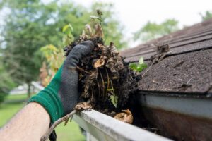 Gutter Cleaning Services (Everything You Need To Know)