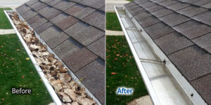 Top Gutter Cleaning Company Near Me (Gutter Medics)