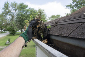 professional cleaning gutters
