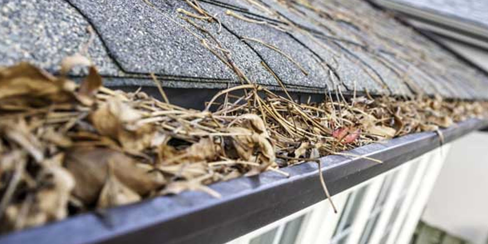 Clean Your Gutters To Prevent Clogging