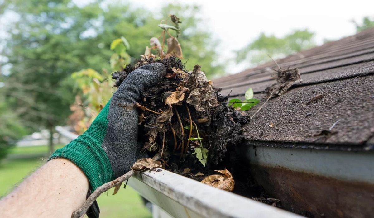 Maintain Your Gutters Clean