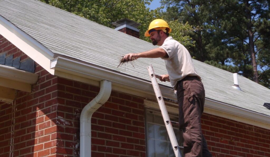 Why You Should Maintain Your Gutters And Downspouts