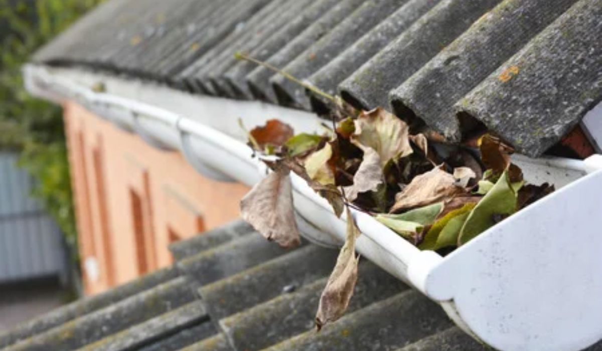 compiled leaves in the gutters
