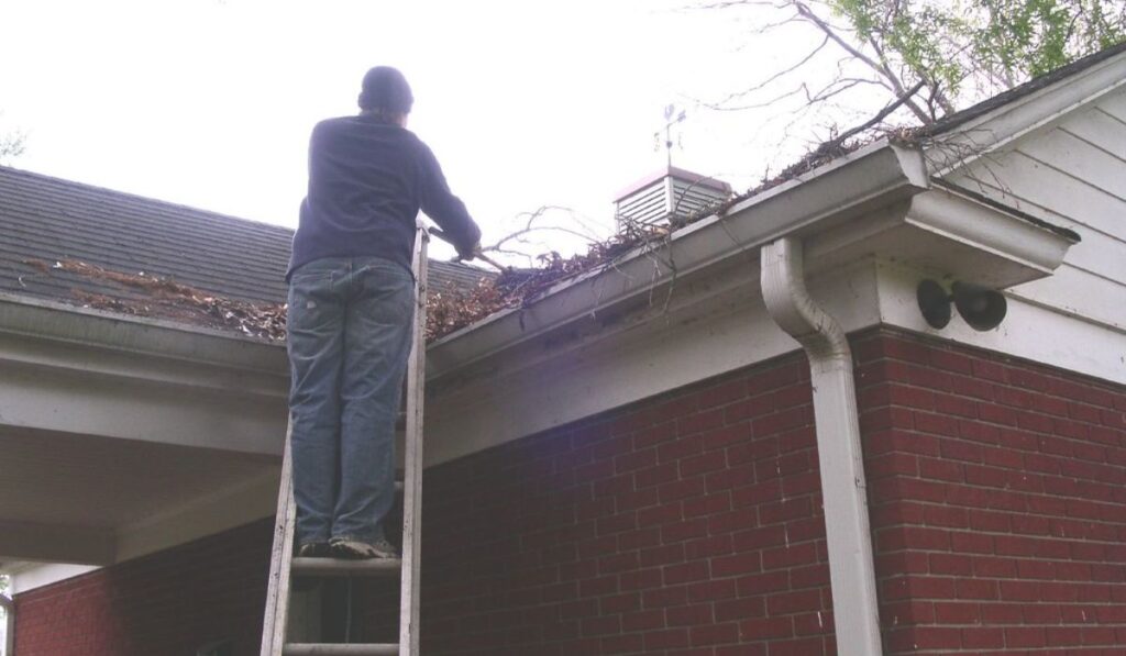 man up on a ladder cleaning dead leaves and branches of the gutters