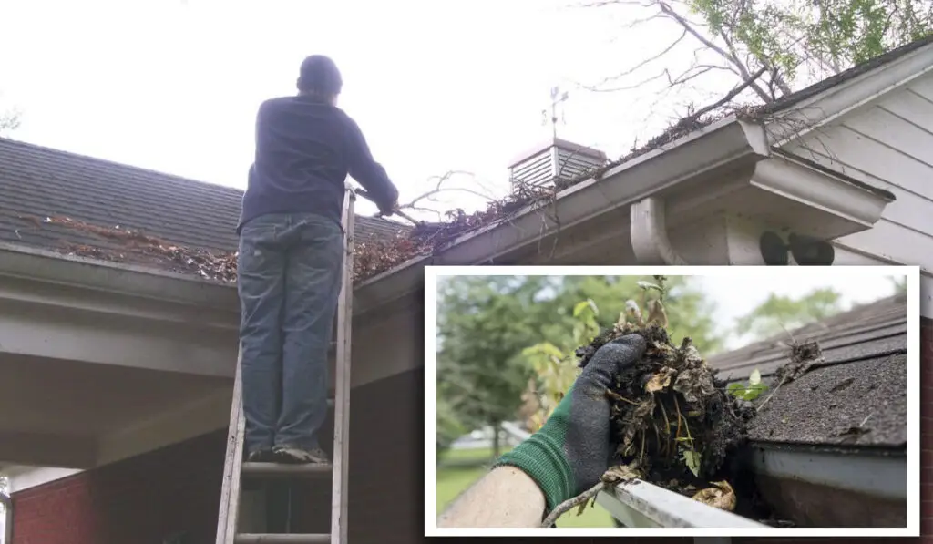 a man on a ladder cleaning the gutter clogged with leaves