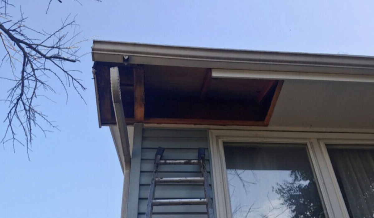 a view of the soffit of a roof and a ladder