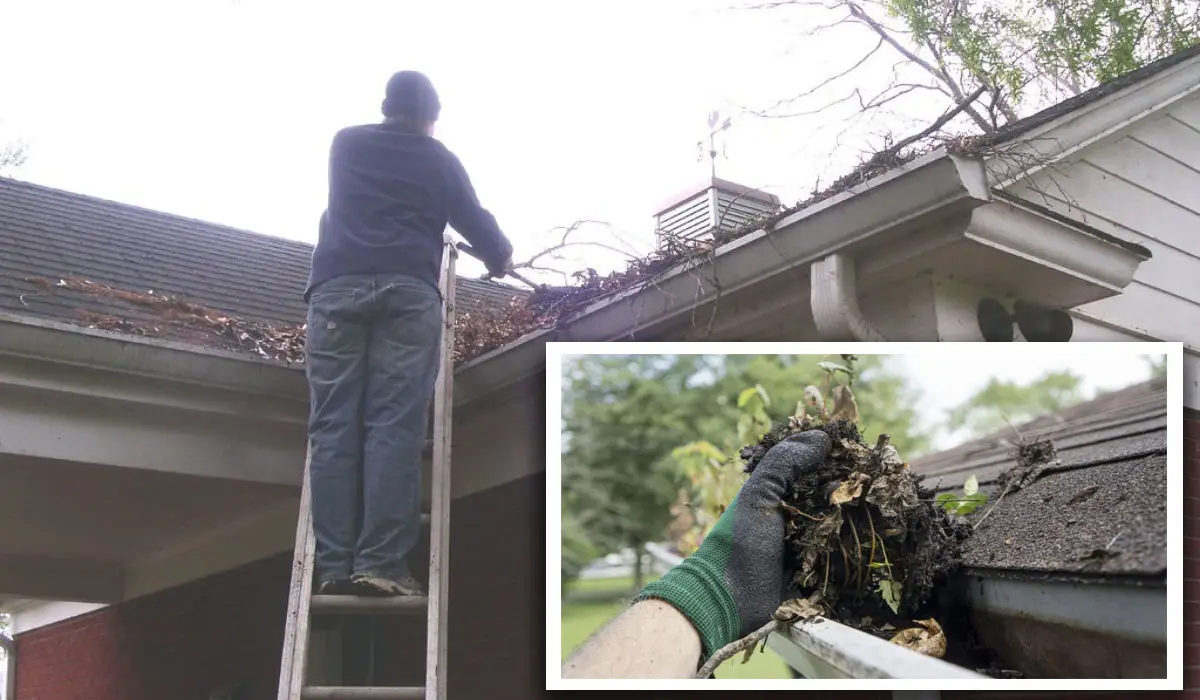 a man cleaning the roof gutters