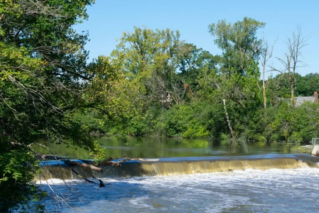 oak-brook-salt-creek