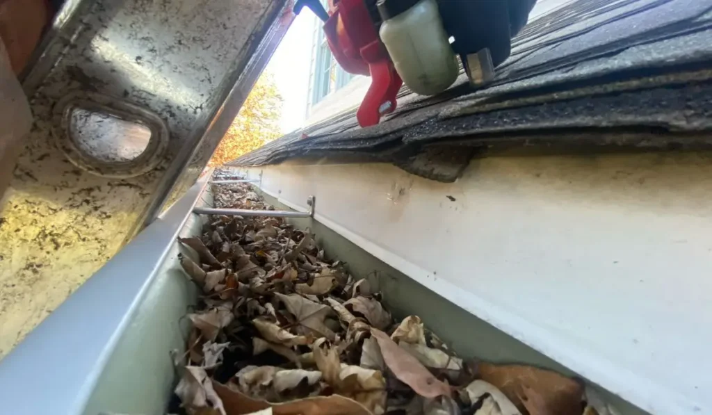 Gutter cleaning in progress on a clogged residential gutter using professional tools to remove dry leaves.