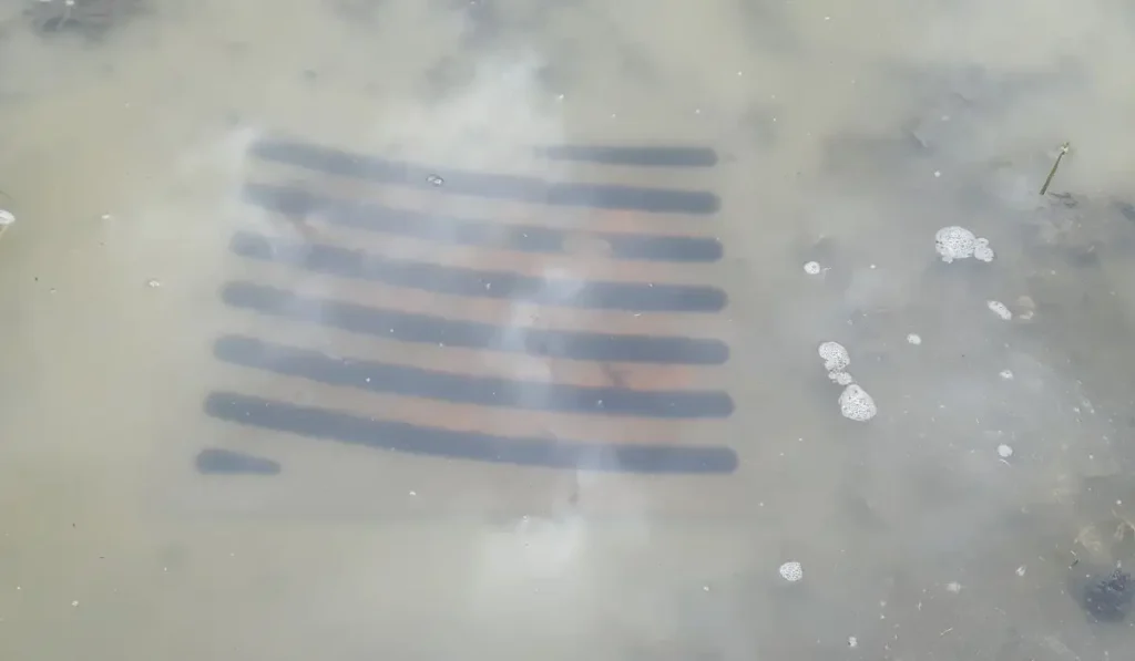 A flooded residential yard showing the effects of clogged underground gutter drains after heavy rainfall.