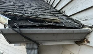 Leaky gutters in spring with clogged debris and damaged gutter edge causing water overflow along roofline.