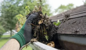 Spring Gutter Checklist debris removal from residential roof gutter showing leaves buildup during seasonal maintenance inspection.