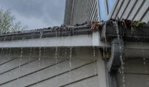 Gutter cleaning prevents overflowing rain gutters protecting siding roofing foundation drainage and landscaping from severe water damage