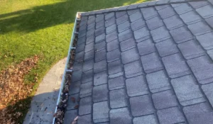 Fall gutter cleaning becomes necessary as leaves and seasonal debris collect inside gutters along the roof edge.